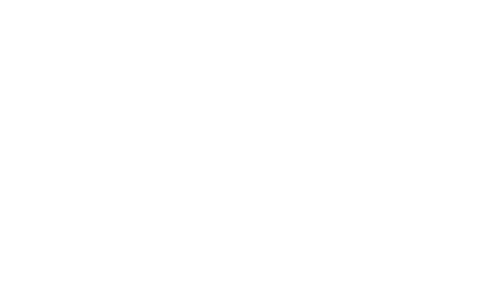 Raven Holdings